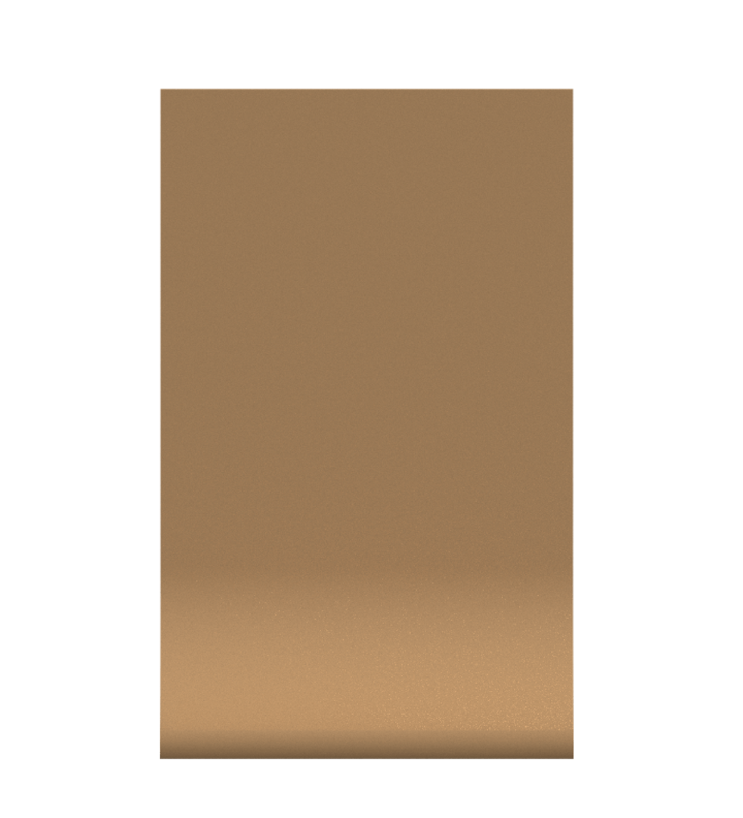 CS-219